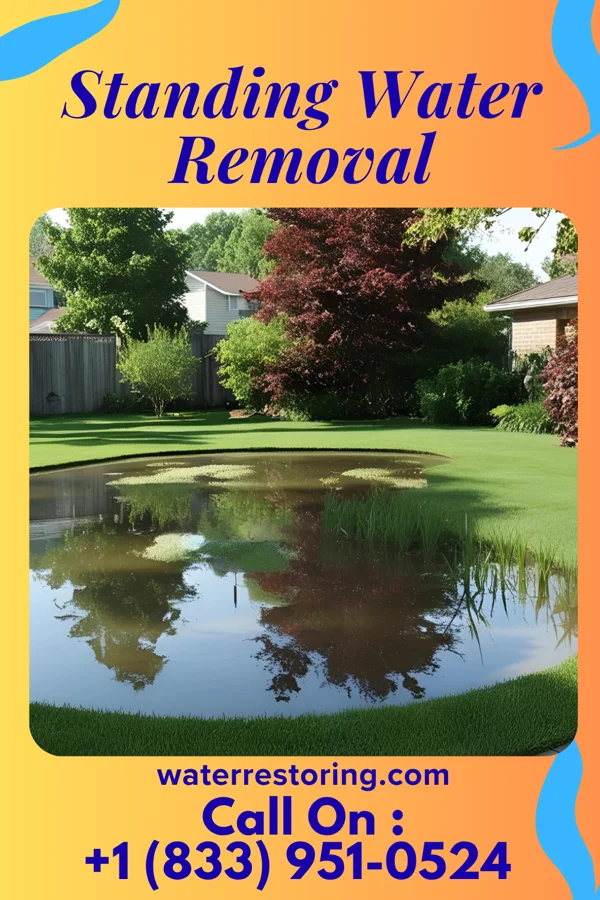 Standing Water Removal in Franklin, IL